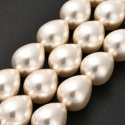 Electroplate Shell Pearl Beads Strands&nbsp;BSHE-G010-16x20mm-01