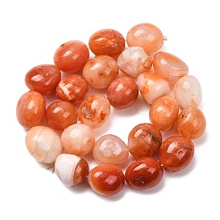 Natural Red Botswana Agate Beads Strands&nbsp;G-G117-A05-06