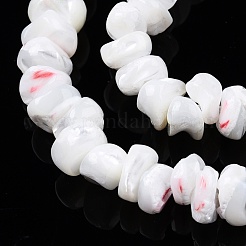 Natural Trochid Shell/Trochus Shell Beads Strands&nbsp;SSHEL-N032-50