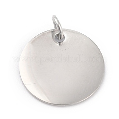 Non-Tarnish 304 Stainless Steel Charms&nbsp;STAS-H159-01P