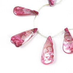 AB Color Plated Dyed Natural Freshwater Shell Beads Strands&nbsp;SHEL-T020-55A