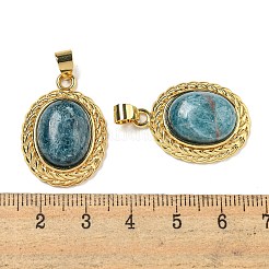 天然アパタイトの楕円形ペンダント  ラックメッキ真鍮宝石チャーム  ゴールドカラー  27.5x19.5x8mm  穴：5x4mm&nbsp;G-B079-02G-06