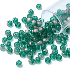 6/0 Transparent Glass Seed Beads&nbsp;SEED-YW0002-11B