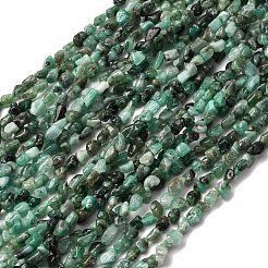 Natural Emerald Beads Strands&nbsp;G-I389-A41