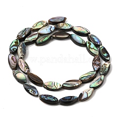 Natural Abalone Shell Paua Shell Beads Strands&nbsp;SH-CBA69D1-01