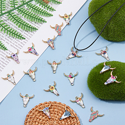 48Pcs 12 Colors Printed Alloy Pendants&nbsp;ENAM-HS0001-01