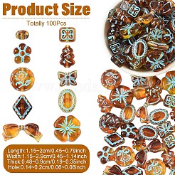 100個 10種類のスタイルのペイントされた透明アクリルビーズ  模造琥珀  混合図形  ミックスカラー  11.5~20x11.5~29x4.8~9mm  穴：1.4~2mm  10個/スタイル&nbsp;OACR-YW0003-66