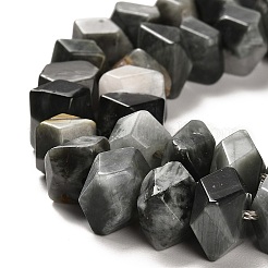 Natural Eagle Eye Stone Beads Strands&nbsp;G-N327-05-15