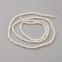 天然養殖淡水パールビーズ連売り  ポテト  アンティークホワイト  2.5~3x1.5~1.8mm  穴：0.5mm  約210個/連  15.5~15.7インチ（39.5~40cm）&nbsp;PEAR-G007-43-01