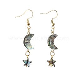 Natural Paua Shell Dangle Earrings for Women&nbsp;EJEW-JE07077