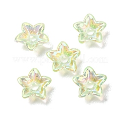 Transparent Acrylic Bead Caps&nbsp;AC-CBA1E6C-06C