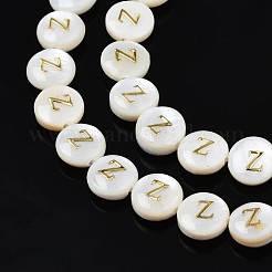 Natural Freshwater Shell Beads&nbsp;SHEL-S276-168
