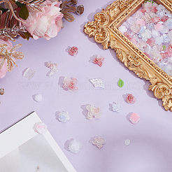 5 Sets 5 Colors Resin Cabochons&nbsp;MRMJ-AR0001-23