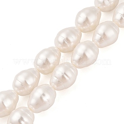 Shell Pearl Beads Strands&nbsp;BSHE-L035-A02