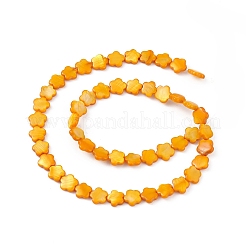 天然淡水貝殻染めビーズ連売り  花  オレンジ  8x8.5x3mm  穴：0.6mm  約49個/連  15.35''（39センチメートル）&nbsp;SHEL-K001-001H