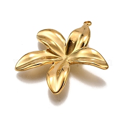 304 Stainless Steel Pendants&nbsp;X-STAS-M116-03G