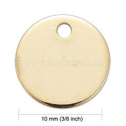 304 Stainless Steel Charms&nbsp;STAS-F174-06G