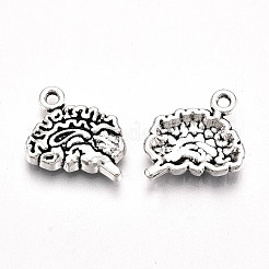 Tibetan Style Alloy Charms&nbsp;X-TIBE-S323-049AS-RS