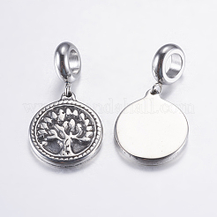 304 Stainless Steel European Dangle Charms&nbsp;STAS-P183-30AS