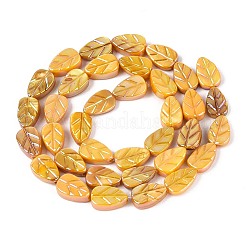 Natural Freshwater Shell Carved Beads Strands&nbsp;SHEL-N038-25F