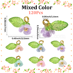 20 Sets Resin Imitation Pearl Charms&nbsp;FIND-SC0016-68