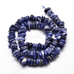 Natural Sodalite Chip Beads Strands&nbsp;G-E271-125