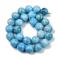 Natural Gemstone Hemimorphite Round Beads Strands&nbsp;G-L145-14mm-01