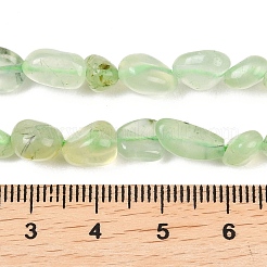 Natural Prehnite Beads Strands&nbsp;G-K395-B08-01