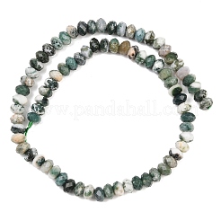 Natural Tree Agate Beads Strands&nbsp;G-C259-A34-5x8mm