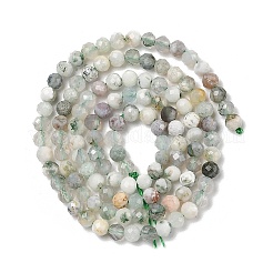 Natural Tree Agate Beads Strands&nbsp;G-RM250104-D6