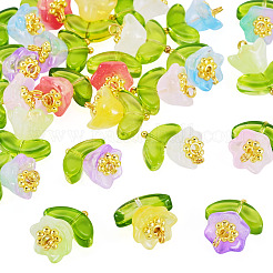 24Pcs 8 Colors Spray Painted Transparent Glass Pendants&nbsp;PALLOY-TADJ00013