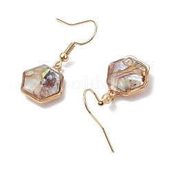 Natural Paua Shell Dangle Earrings&nbsp;EJEW-JE06274