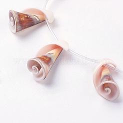 天然淡水シェルビーズ連売り  27~43x13~20mm  穴：1mm  約12個/連  14.7インチ〜15.5インチ（37.5~39.5cm）&nbsp;BSHE-L036-21