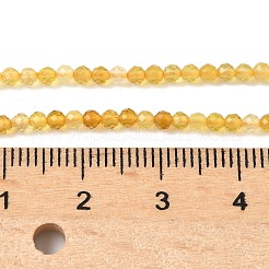 Natural Yellow Opal Beads Strands&nbsp;G-D306-A05-2mm