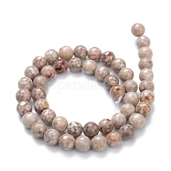 Natural Maifanite/Maifan Stone Beads Strands&nbsp;G-P451-01A-B