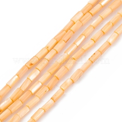 天然淡水貝殻染めビーズ連売り  コラム  ミックスカラー  8x4mm  穴：0.8mm  約46個/連  14.96''（38センチメートル）&nbsp;SHEL-M018-11
