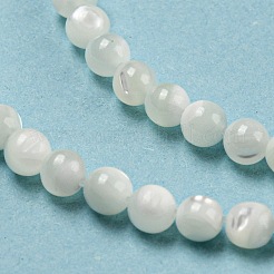 Natural Trochid Shell/Trochus Shell Beads Strands&nbsp;BSHE-Z005-04A
