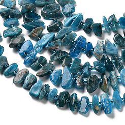 Natural Apatite Beads Strands&nbsp;G-B176-A01-01