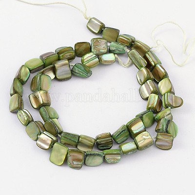 Erose Shell Beads Strands&nbsp;PBB068Y-1