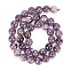 Natural Amethyst Beads Strands&nbsp;G-OC0001-63-10mm-4