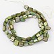 Erose Shell Beads Strands&nbsp;PBB068Y-2
