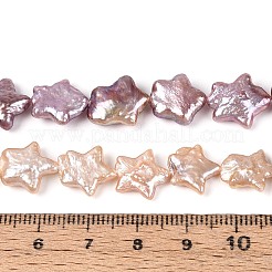 天然バロックケシパールビーズ連売り  有核真珠  スター  アザミ  9~14x9.5~14x2.5~6mm  穴：0.6mm  約33~35個/連  14.96~15.16インチ（38~38.5cm）&nbsp;PEAR-S020-Z03-02A