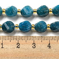 Natural Apatite Beads Strands&nbsp;G-M443-B06-02