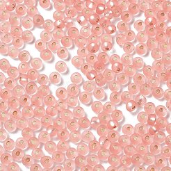 6/0 Glass Seed Beads&nbsp;SEED-Z001-B-E10