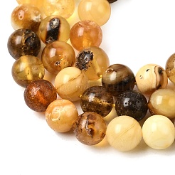 Natural Amber Beads Strands&nbsp;G-K376-H01-01