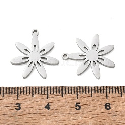 304 Stainless Steel Pendants&nbsp;SA-CBAAC28-02P