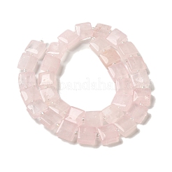 Natural Rose Quartz Beads Strands&nbsp;G-L596-A18-01