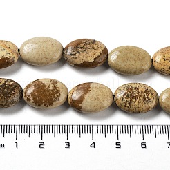 天然石ピクチャージャスパービーズ連売り  フラットオーバル  17.5~18x12.5~13x6mm  穴：1.2mm  約22個/連  15.55''（39.5センチメートル）&nbsp;G-L164-A-28