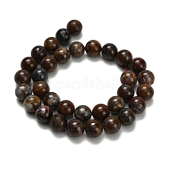 Natural Pietersite Beads Strands&nbsp;G-L642-B16-12mm