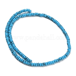 Synthetic Turquoise Beads Strands&nbsp;G-Z110-B01-2x4mm-03